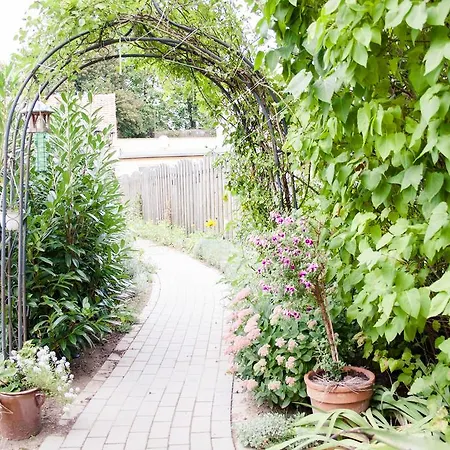 Appartement Gruene Insel *