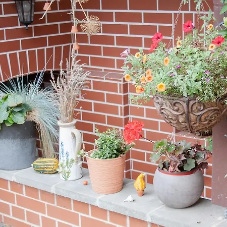 Gruene Insel Appartement *