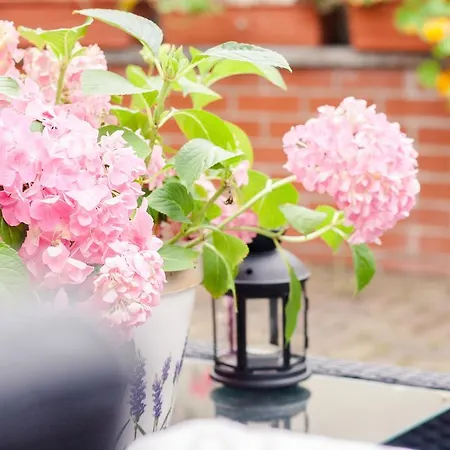 Appartement Gruene Insel Quedlinburg