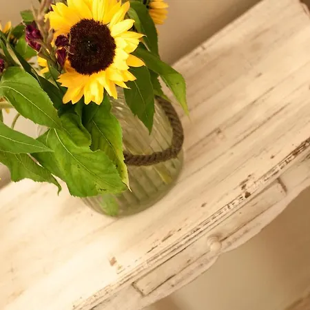 Gruene Insel Appartamento Quedlinburg