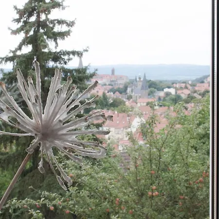 Appartamento Gruene Insel