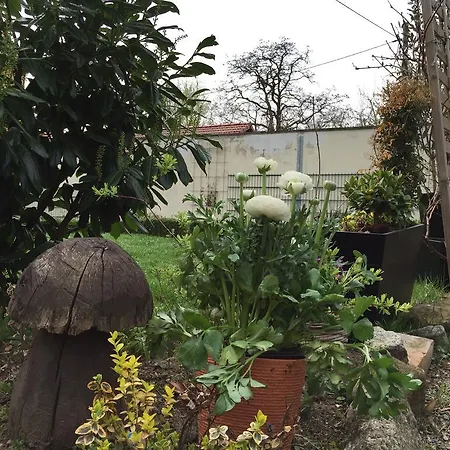 Gruene Insel * Quedlinburg