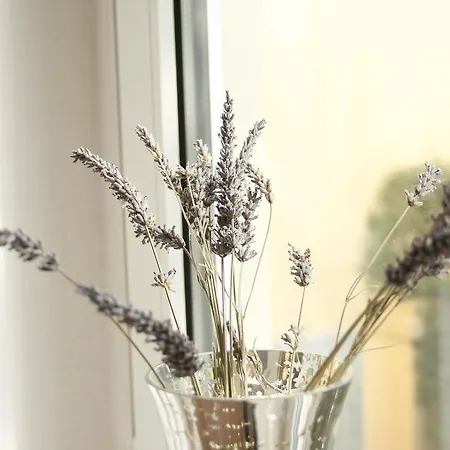 Gruene Insel Appartamento