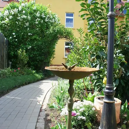 Gruene Insel Apartment *