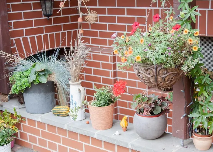 Gruene Insel Διαμέρισμα *