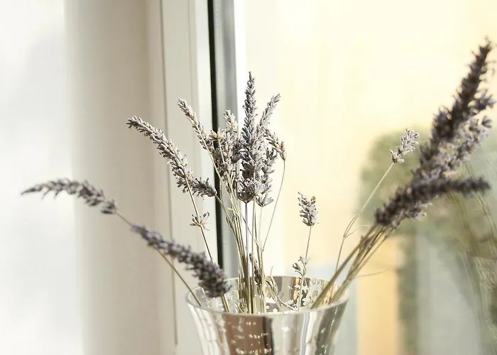 Gruene Insel Διαμέρισμα